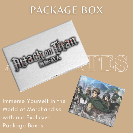 Attack On Titan x Package Box